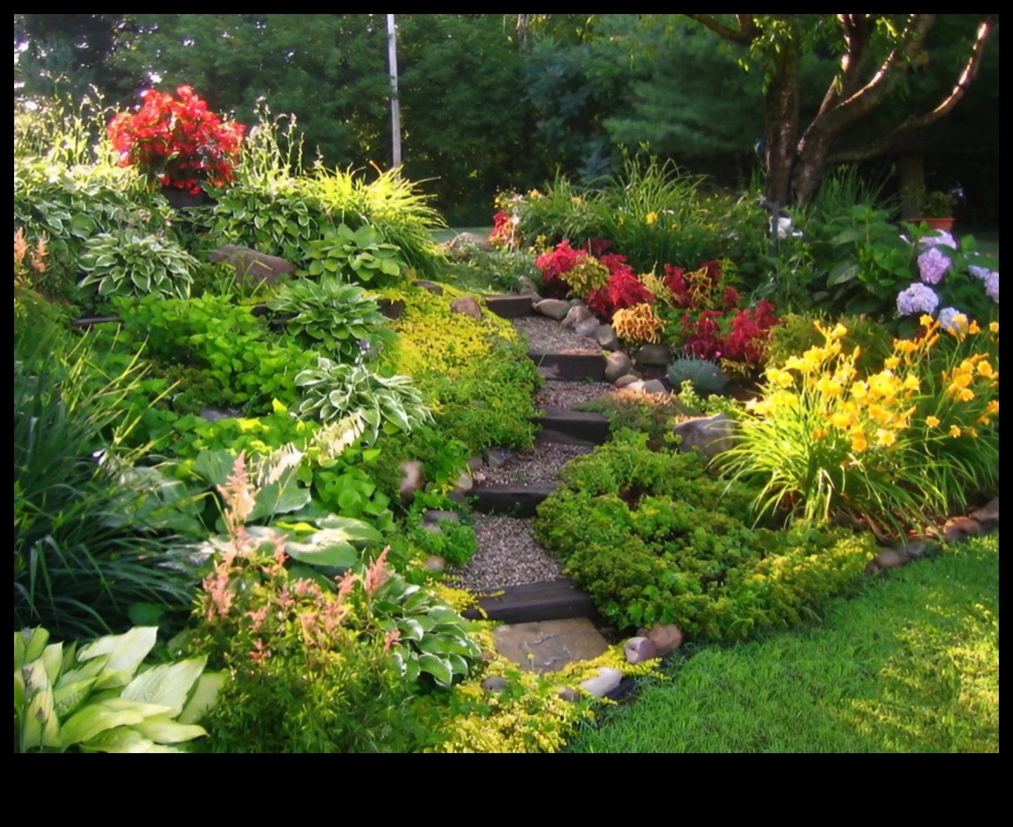 Backyard Beauty حديقة المسرات المحلية ومناطق الجذب 5 جمال الفناء الخلفي: حديقة المسرات المحلية